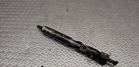Renault Clio III Fuel injector EJBR02101Z
