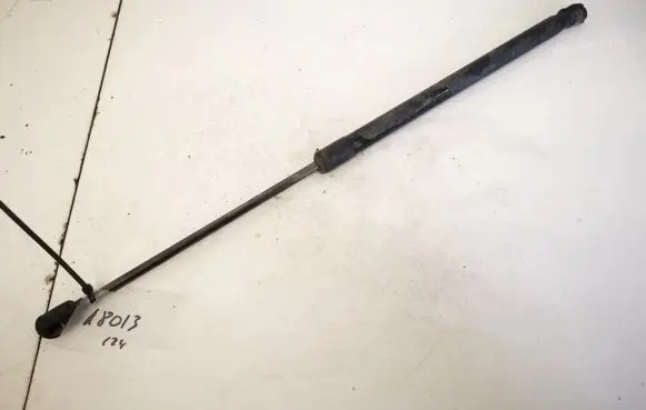 Tailgate/trunk strut/damper