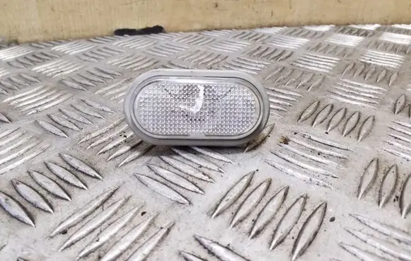 Renault Trafic II (X83) Front fender indicator light 7700847333
