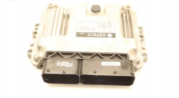 Engine control unit/module ECU