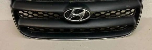 Hyundai Santa Fe Front grill E865612B010