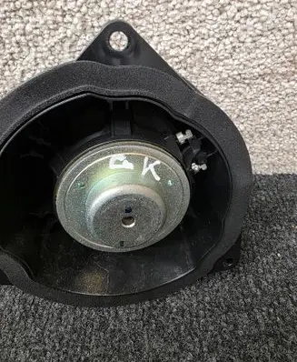 Rear door speaker