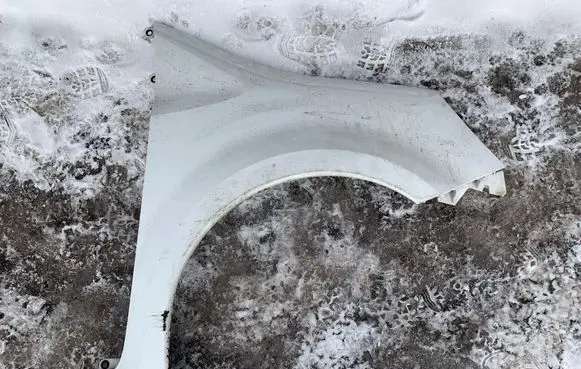 Renault Modus Fender