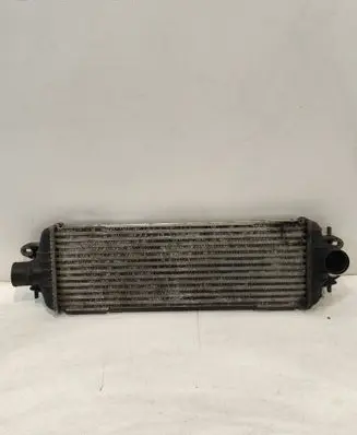 Opel Vivaro Intercooler radiator 8200219497 93850451