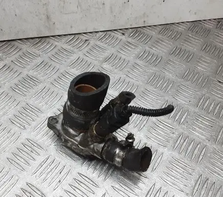 Ford Focus Thermostat/thermostat housing