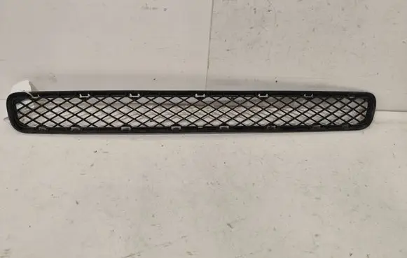 BMW X3 E83 Front bumper lower grill 51113416512