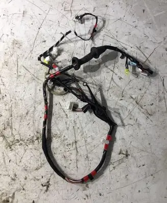 Front door wiring loom