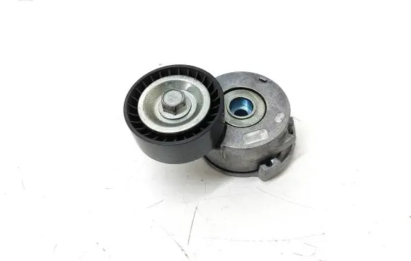 Citroen DS4 Generator/alternator belt tensioner