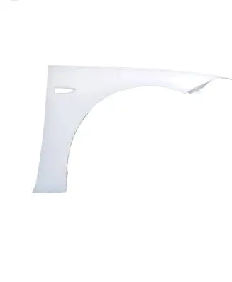 Opel Insignia B Fender 2Z06
