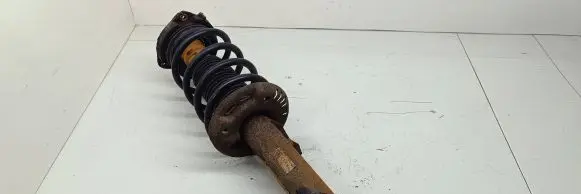 Volkswagen PASSAT B6 Front shock absorber/damper 1k0412303
