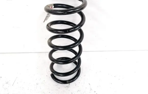 Ford C-MAX II Rear coil spring DV615560PHB