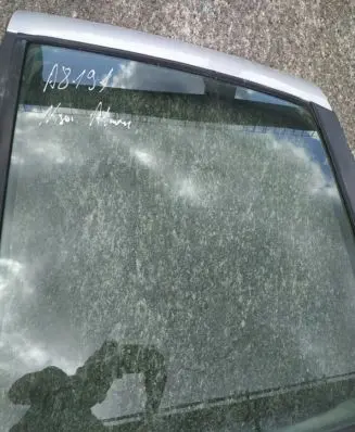 Nissan Almera Tino Rear door window glass