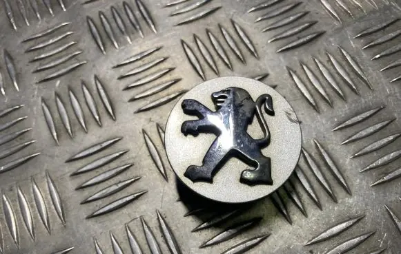Peugeot 407 Original wheel cap 9636892077