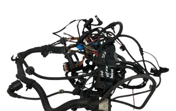 Engine installation wiring loom