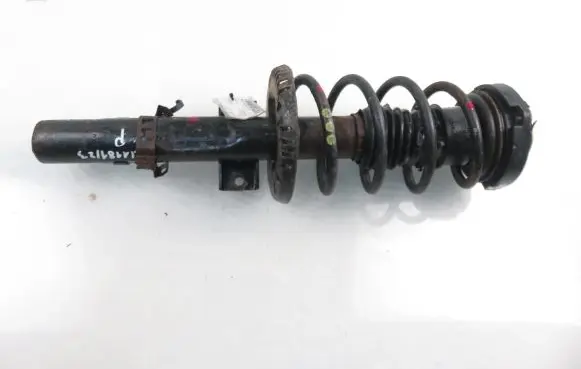 Skoda Roomster (5J) Front shock absorber with coil spring