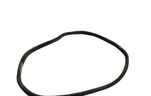 BMW i4 Rubber seal rear door 7482947