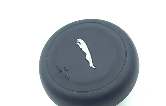Jaguar F-Pace Steering wheel airbag 0589P1000909 GX73043B13BE 310431099H41AA