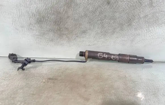Volkswagen Golf IV Fuel injector 028130202q 0432193694 B00
