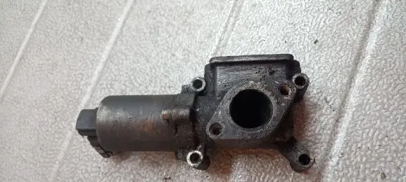 Fiat Doblo EGR valve