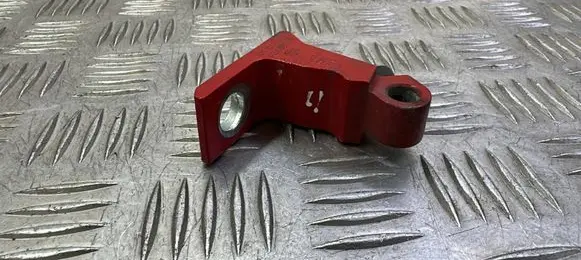 Rear door lower hinge