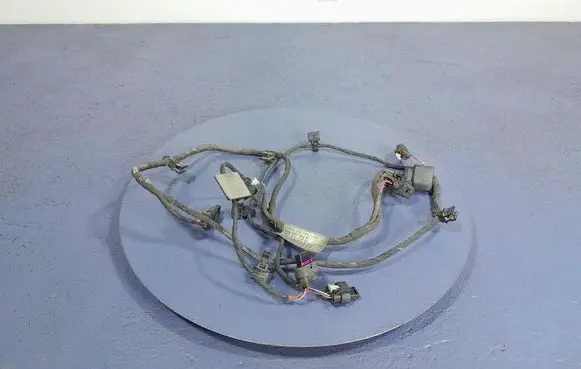 Other wiring loom