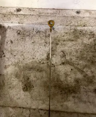Toyota Prius (XW20) Oil level dip stick 