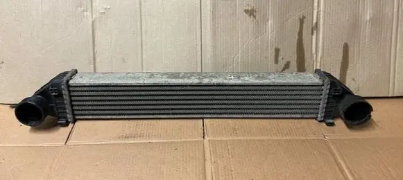 Mercedes-Benz A W169 Intercooler radiator A1695000000