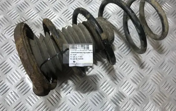 Front coil spring