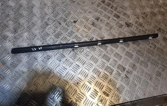 BMW X6 E71 Front door glass trim molding NERA