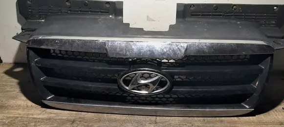 Front bumper upper radiator grill