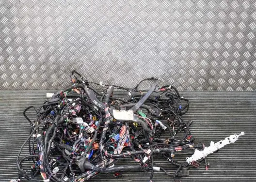Tesla Model S Other wiring loom 200442300