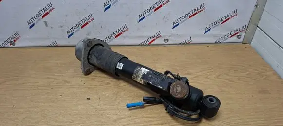 BMW X5 E70 Rear shock absorber/damper 6779702