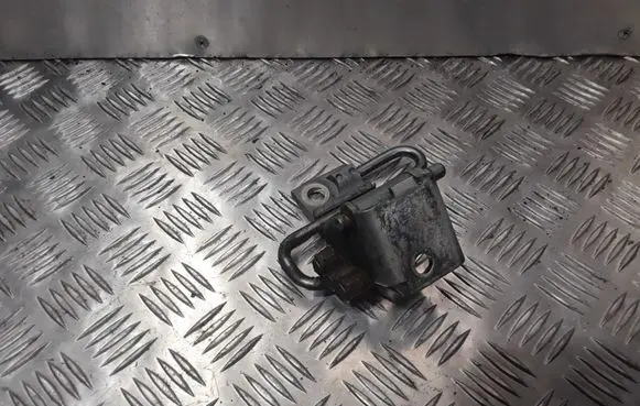 Front door lower hinge