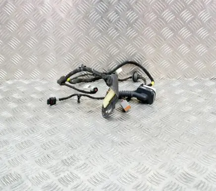 Dodge RAM 1500 DS Other wiring loom 71844230 16238CO