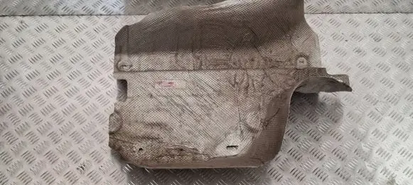 Exhaust heat shield