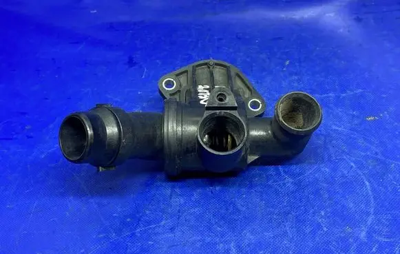 Thermostat/thermostat housing