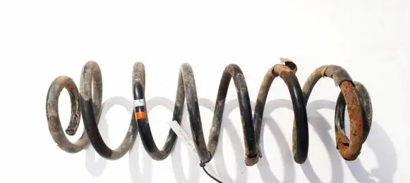 Volkswagen PASSAT B6 Rear coil spring