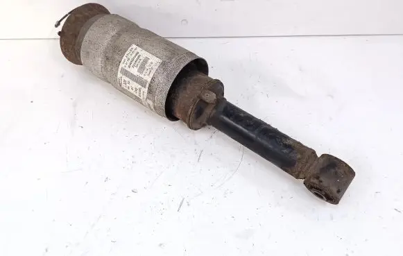 Land Rover Range Rover Sport L320 Air suspension front shock absorber 22249855