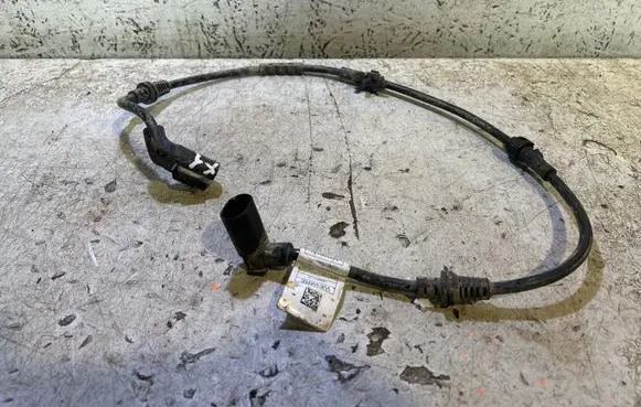 BMW X1 U11 Other wiring loom 99091710
