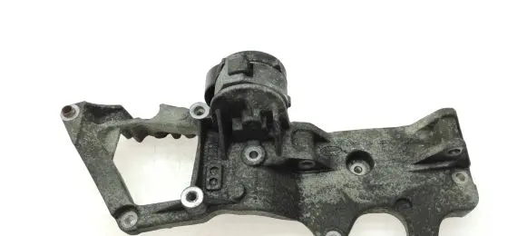 Land Rover Evoque I Generator/alternator belt tensioner BJ3210039AC