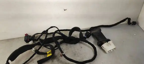 Front door wiring loom