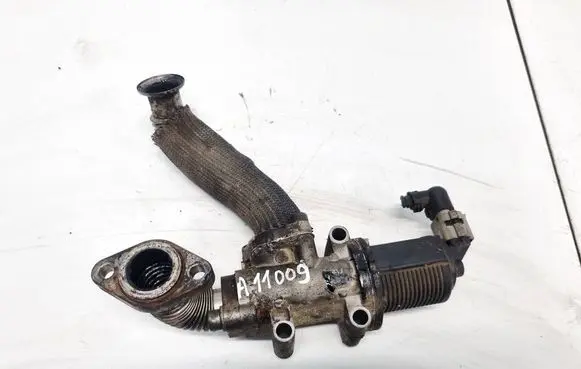 Opel Zafira B EGR valve 50024005