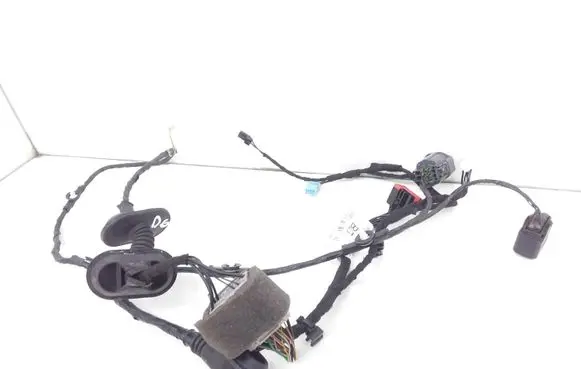 Rear door wiring loom