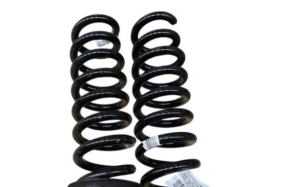 Rear coil spring