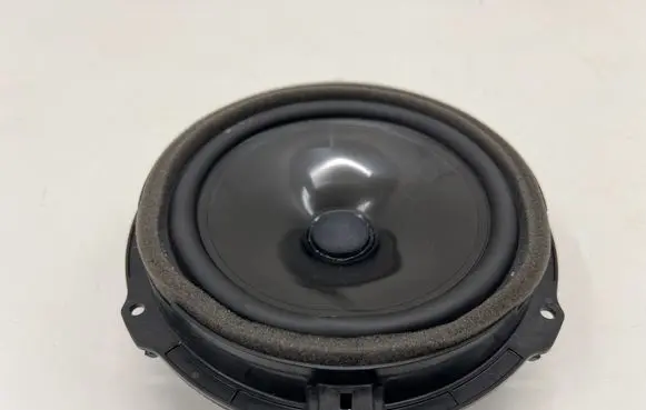 Ford Mustang Mach-E Rear door speaker LJ8T18808NA F8BRQ