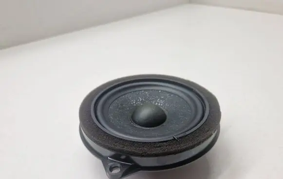 BMW X3 G01 Front door speaker 6809629