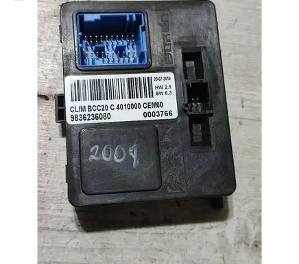 Peugeot 2008 II Other control units/modules 9836236080