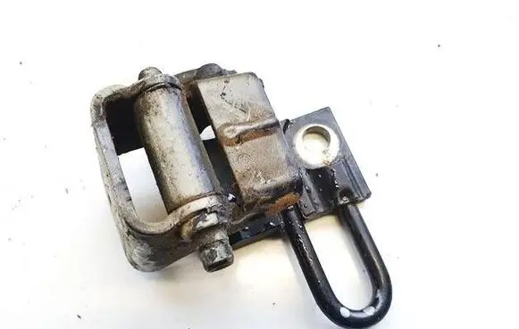 Rear door lower hinge
