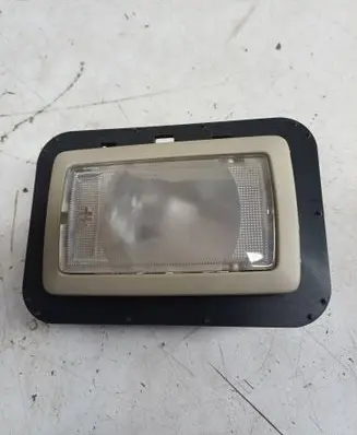 Opel Insignia A Rear seat light L0102295AC