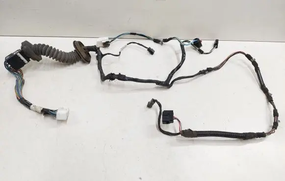 Front door wiring loom